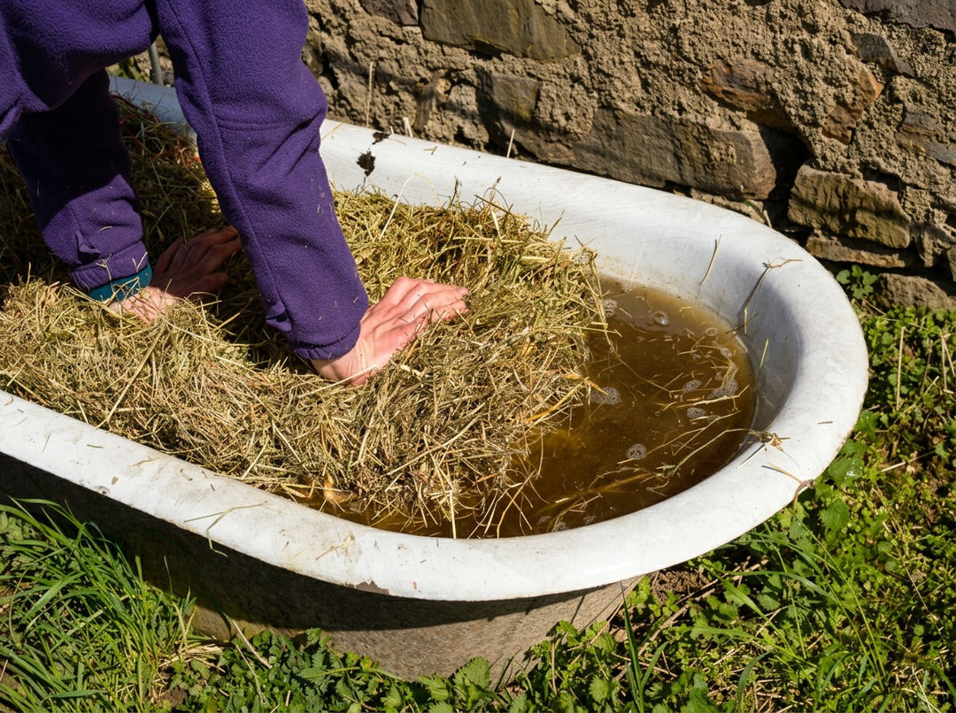 Forage Matters: Soaking Hay - When Does It Make Sense?