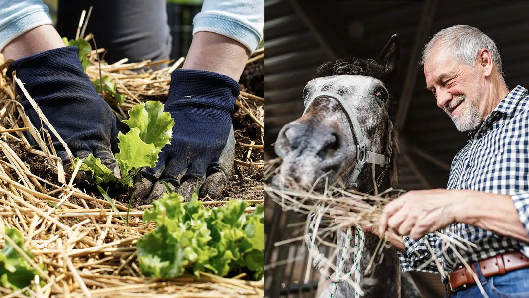 Blue Mountain Hay Named to Inc. 5000 List of Fastest-Growing Privately Held US Companies