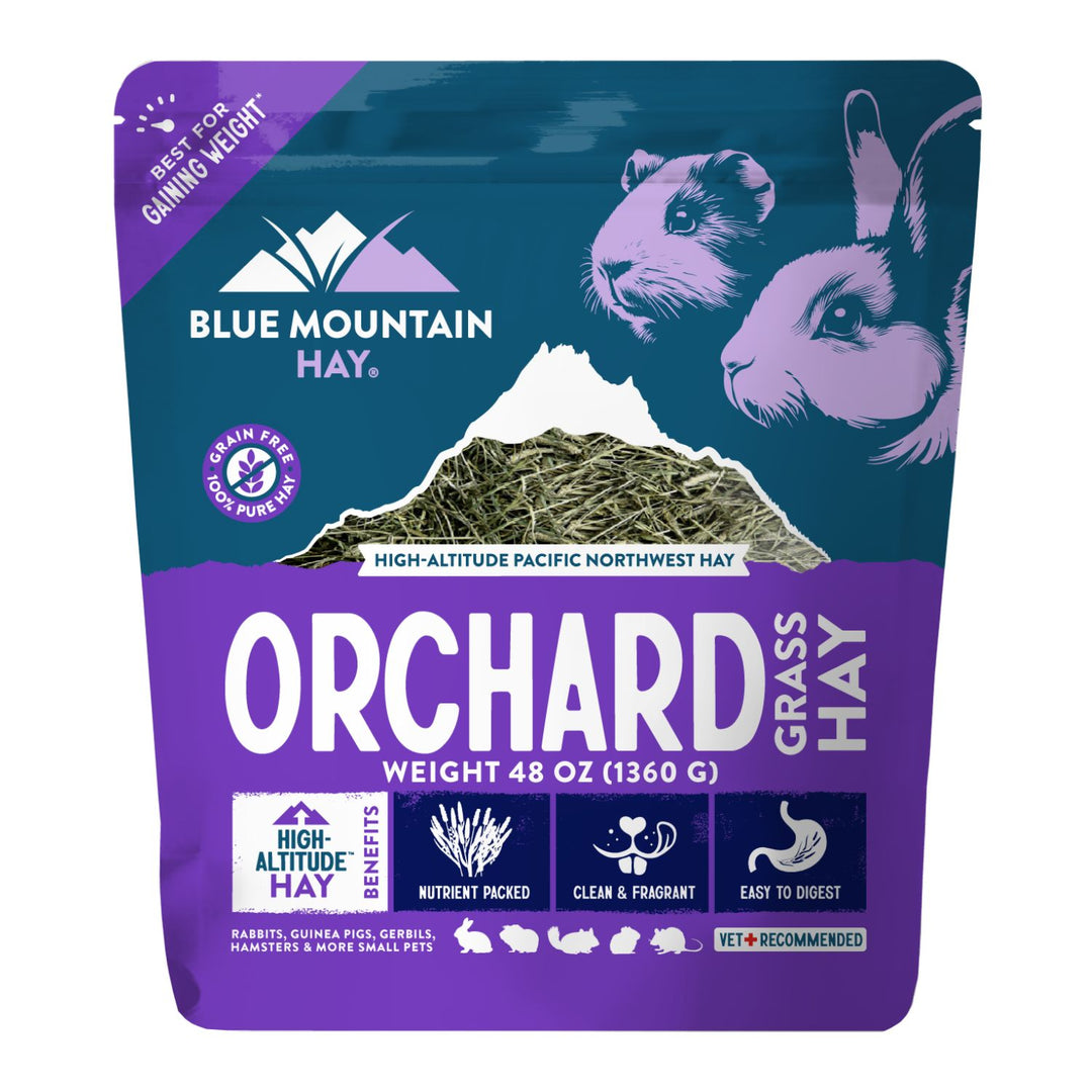 Blue Mountain Hay Orchard Grass Hay package with purple and teal design.
