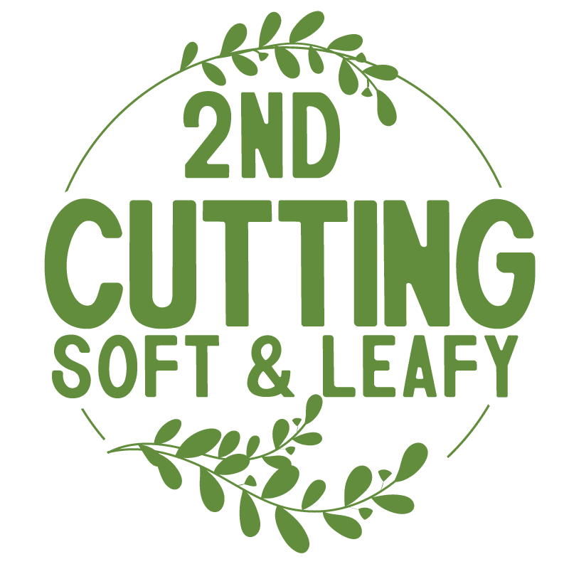 2nd Cutting Timothy Grass Hay