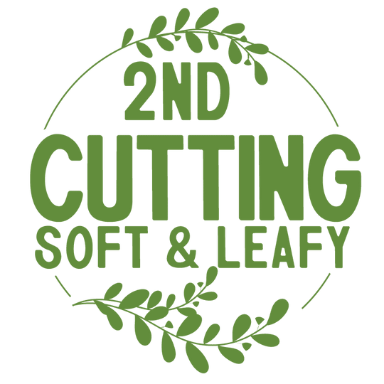 2nd Cutting Timothy Grass Hay