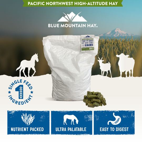 High-Altitude Timothy Hay Mini Cubes - 50 lb