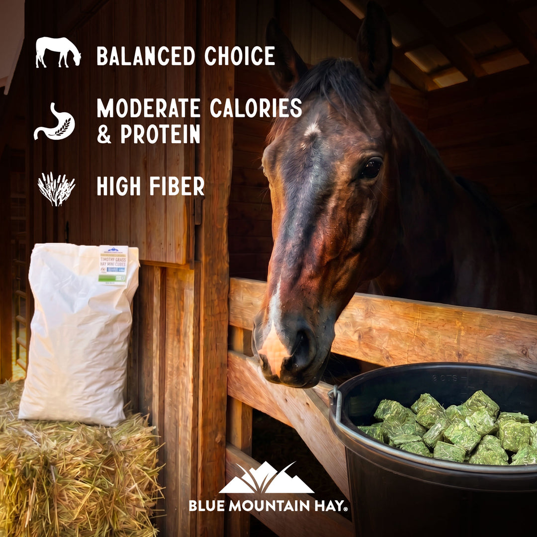 High-Altitude Timothy Hay Mini Cubes - 50 lb