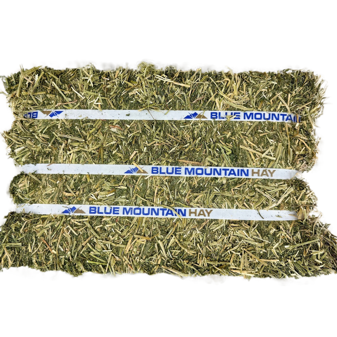Alfalfa Hay for Horses | Easy Flake Box