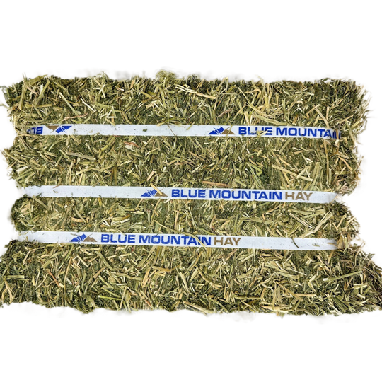 Alfalfa Hay for Horses | Easy Flake Box