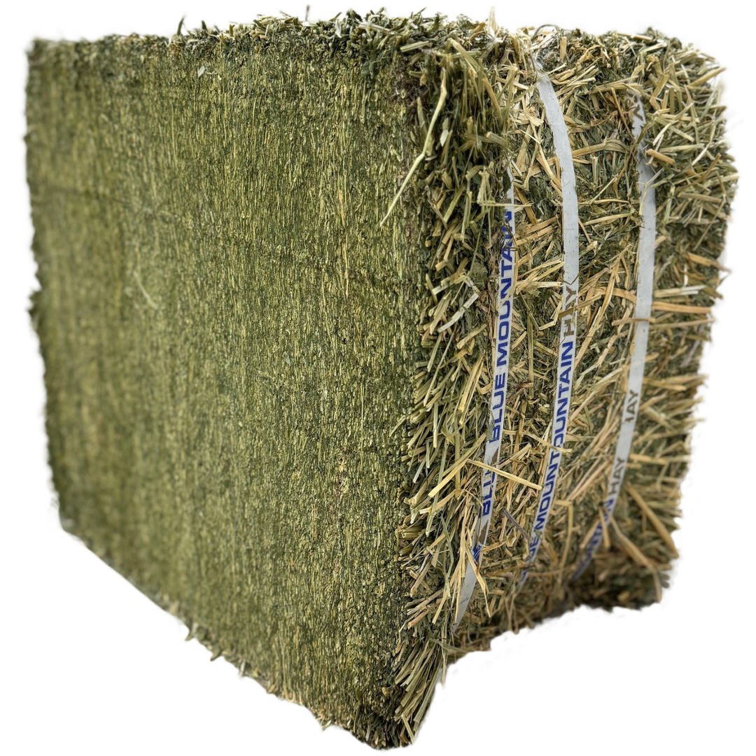 Alfalfa Hay for Horses | Easy Flake Box