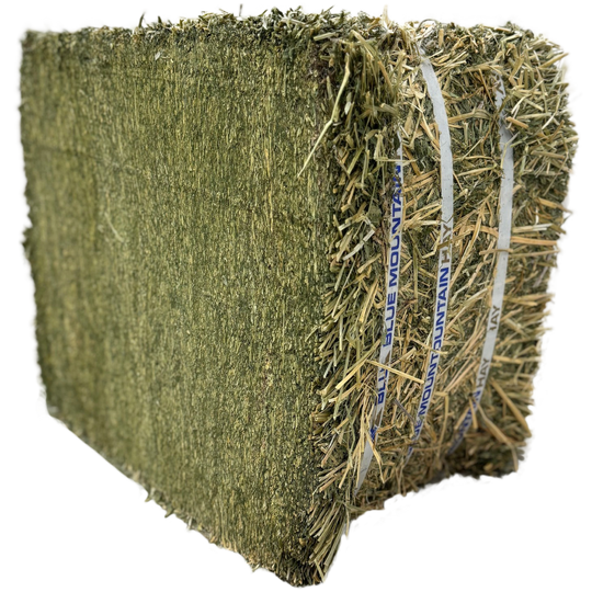 Alfalfa Hay for Horses | Easy Flake Box