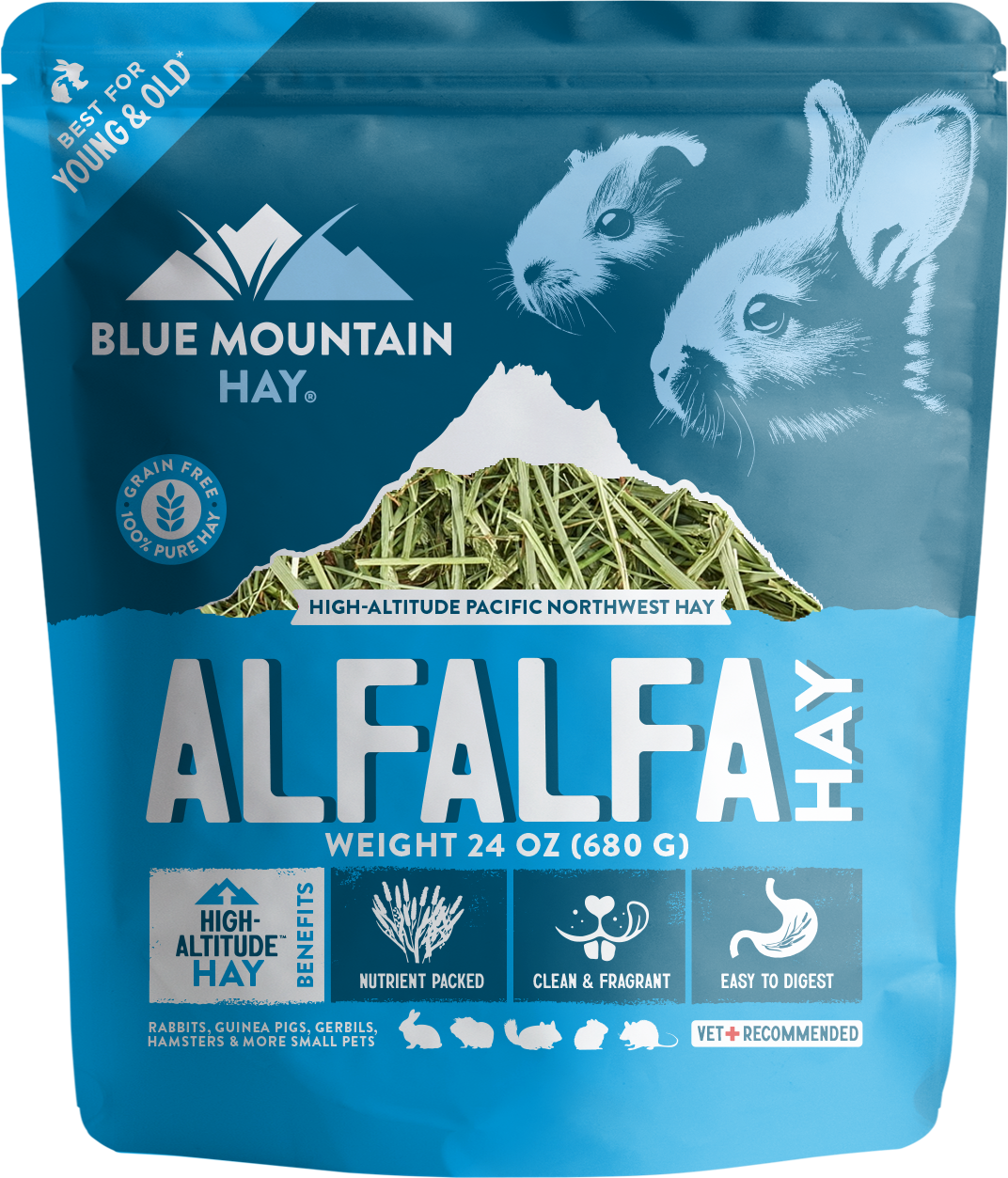Alfalfa Hay