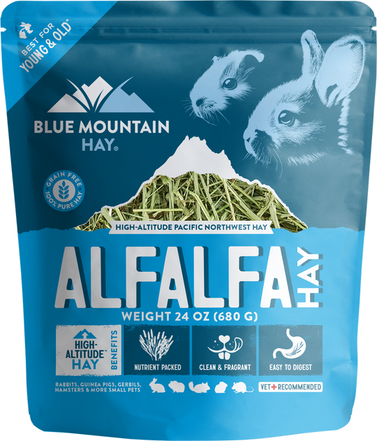 Alfalfa Hay
