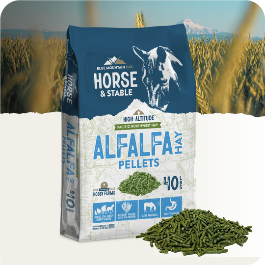 Alfalfa Hay Pellets