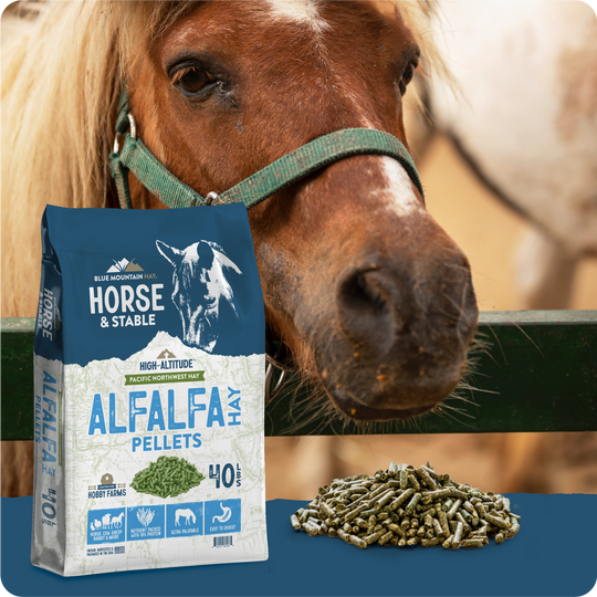 Alfalfa Hay Pellets
