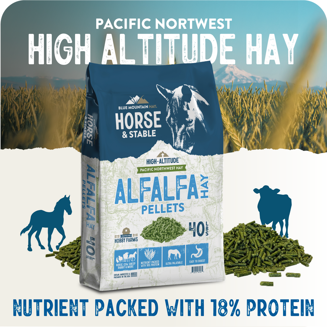 Alfalfa Hay Pellets