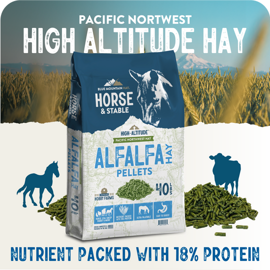 Alfalfa Hay Pellets