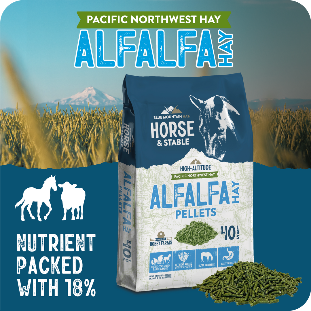 Alfalfa Hay Pellets