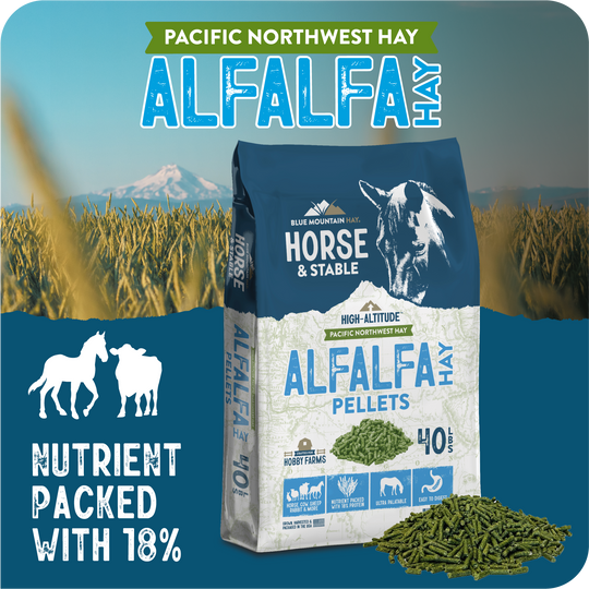 Alfalfa Hay Pellets