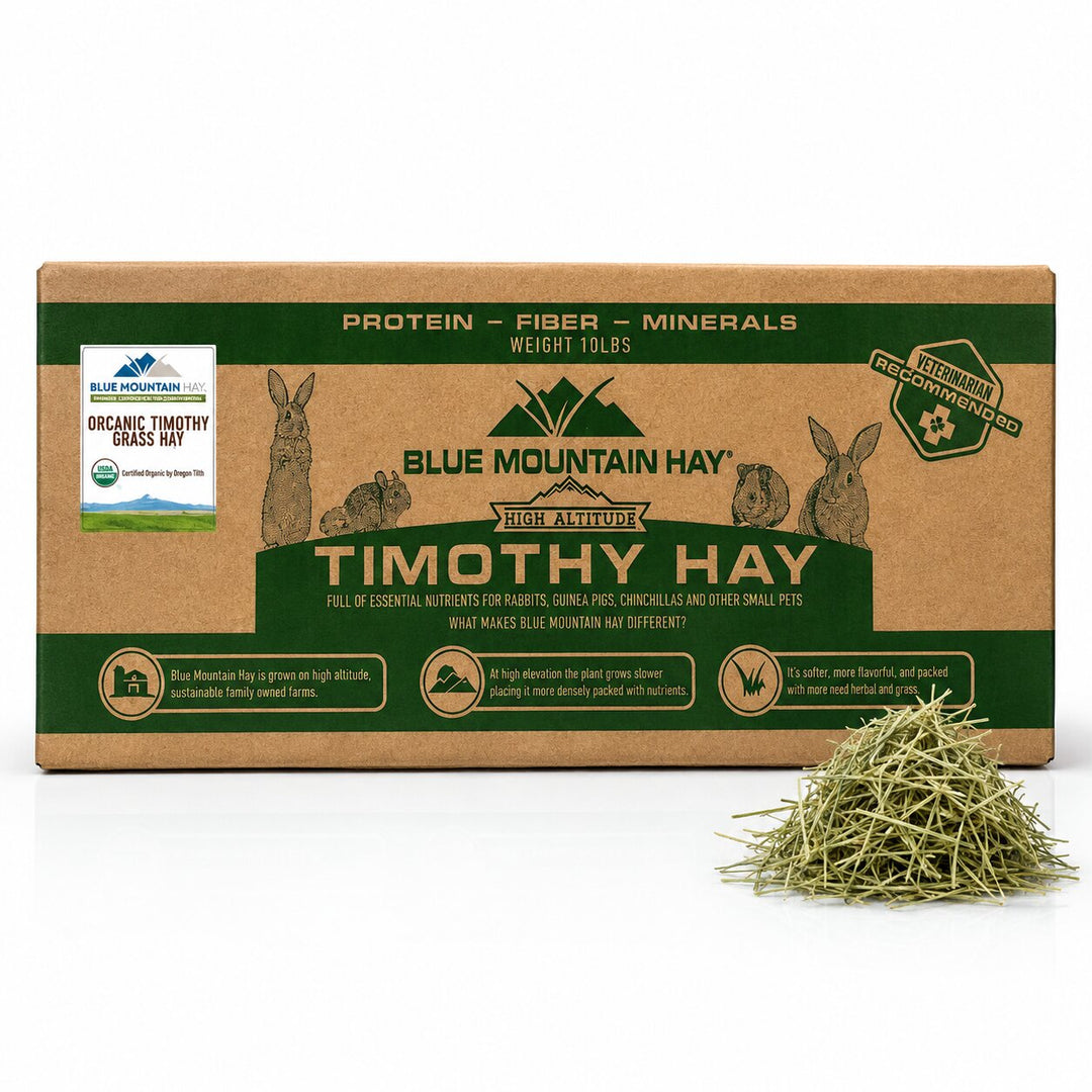 Box of Blue Mountain Hay Timothy Hay with a small pile of hay on a white background
