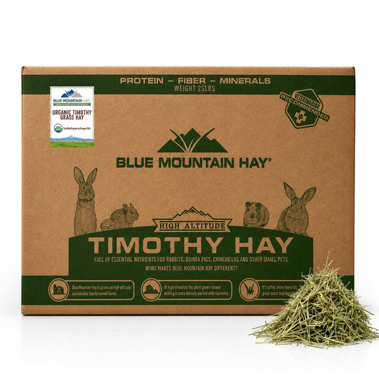 Organic 1st Cutting Timothy Hay