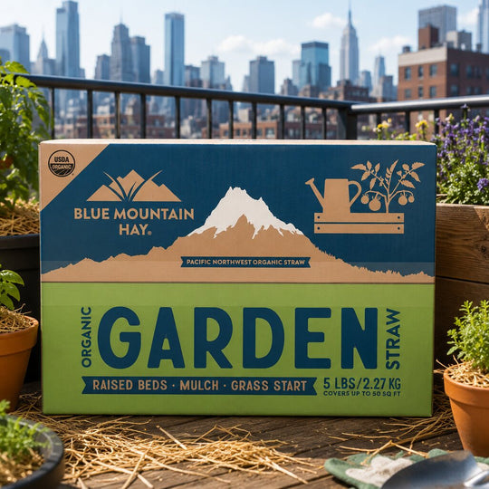 Box of Blue Mountain Hay Garden Straw on a rooftop garden with city skyline in the background