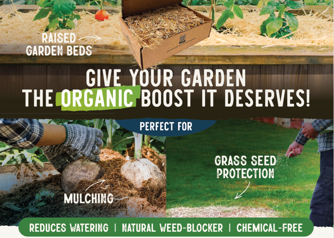 herbicide free straw Organic Garden Straw | Natural Mulch & Soil Enricher