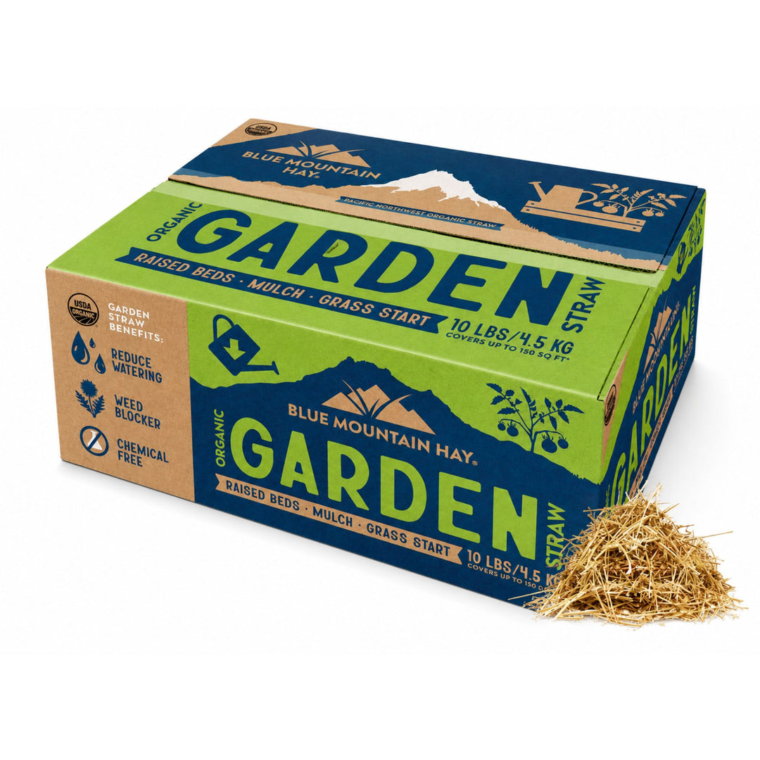Box of Blue Mountain Hay Garden Straw with a small pile of straw on a white background