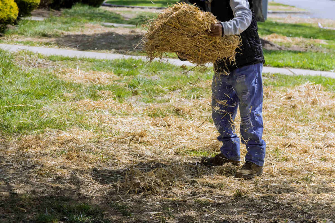 USDA Certified Organic Garden Straw