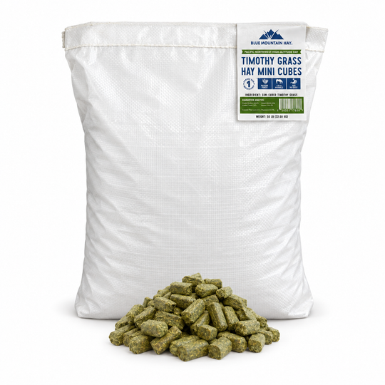A large white bag of Blue Mountain Co. Timothy Grass Hay Mini Cubes with a pile of green-brown textured hay cubes in front, photographed on a clean white background.