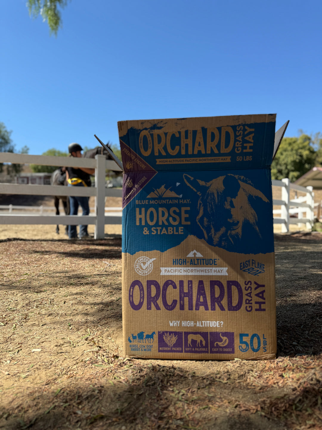 Orchard Grass Hay Easy Flake Box | High-Altitude Horse Feed