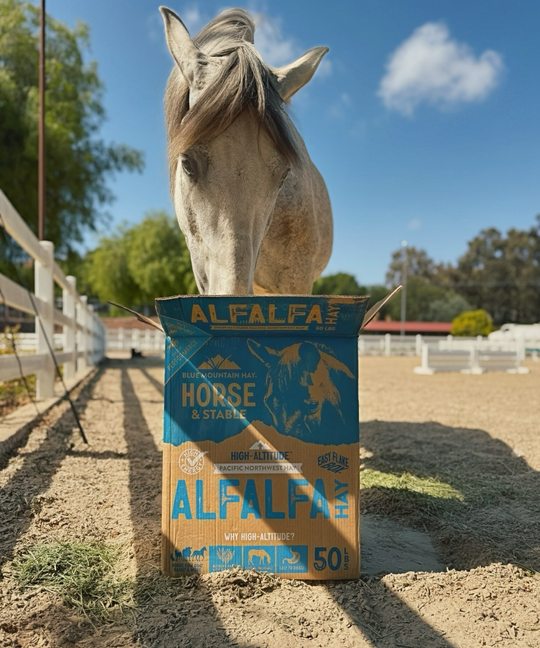 Alfalfa Hay Easy Flake Box | High-Altitude Horse Feed
