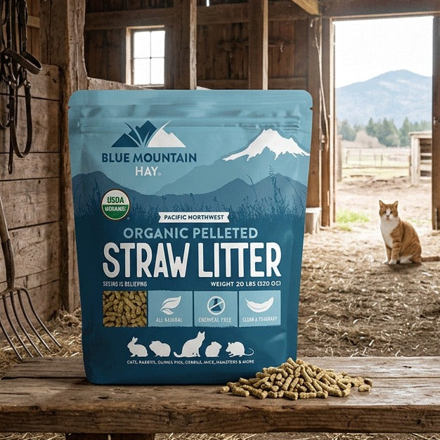 Bag of Blue Mountain Hay straw litter in a barn with a cat sitting outside.