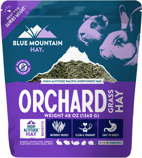 Orchard Grass Hay