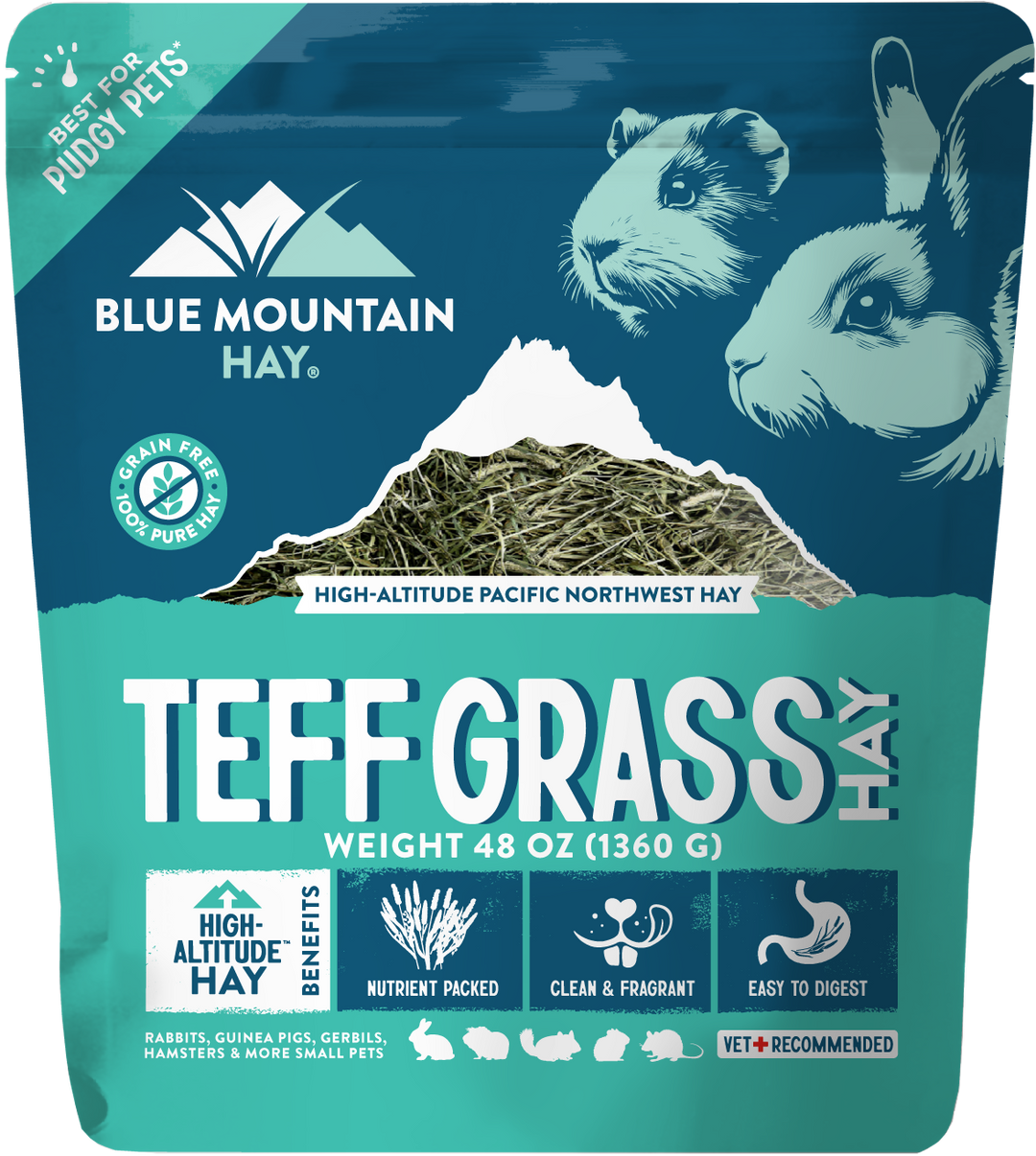 Teff Grass Hay