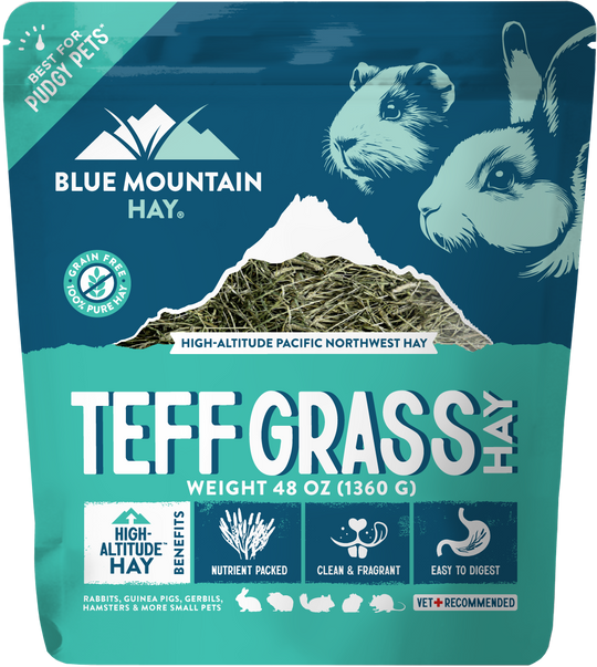 Teff Grass Hay