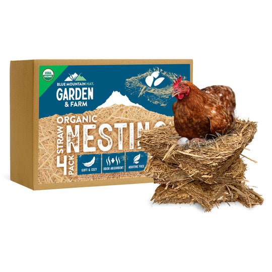 Box of Blue Mountain Hat Garden & Farm organic straw nesting material with a chicken on top.