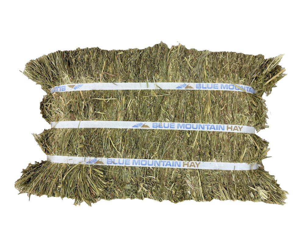 Orchard Grass Hay for Horses  | Easy Flake Box