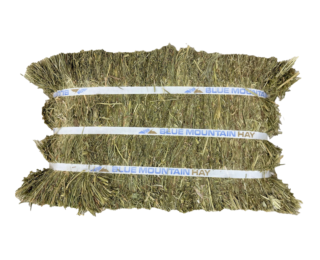 Orchard Grass Hay for Horses  | Easy Flake Box