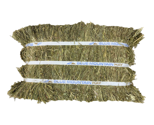 Orchard Grass Hay for Horses  | Easy Flake Box