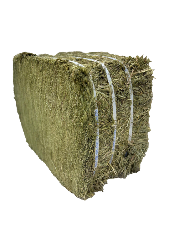Orchard Grass Hay for Horses  | Easy Flake Box