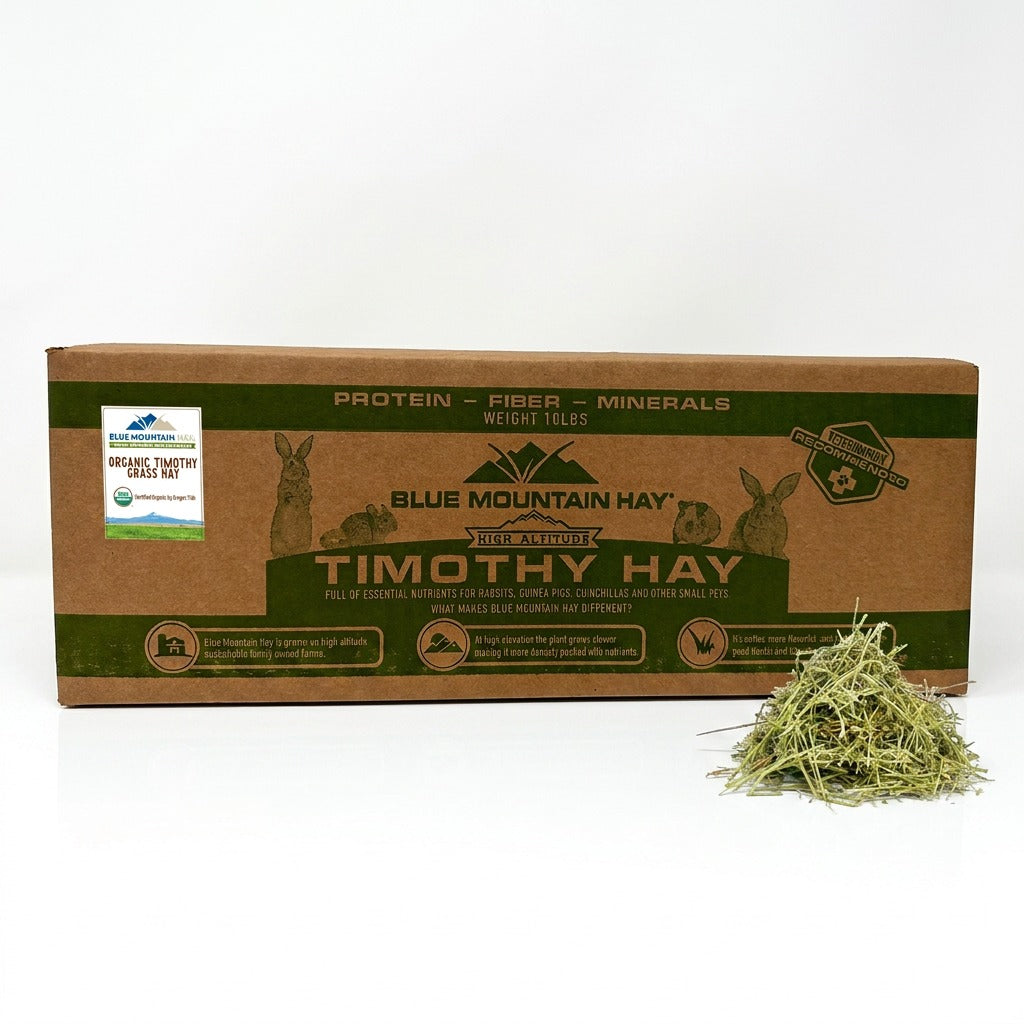 Box of Blue Mountain Hay Timothy Hay with a small pile of hay on a white background