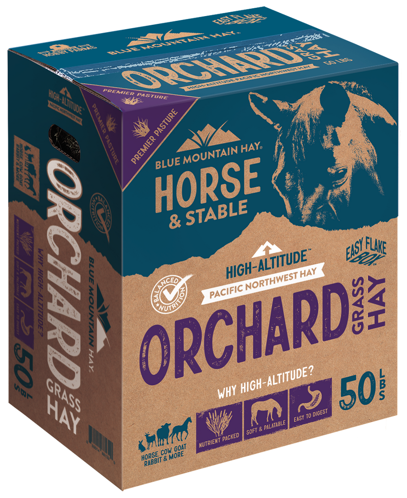 Orchard Grass Hay for Horses | Easy Flake Box | Blue Mountain Hay Orchard Grass Hay for Horses | Easy Flake Box | Blue Mountain Hay