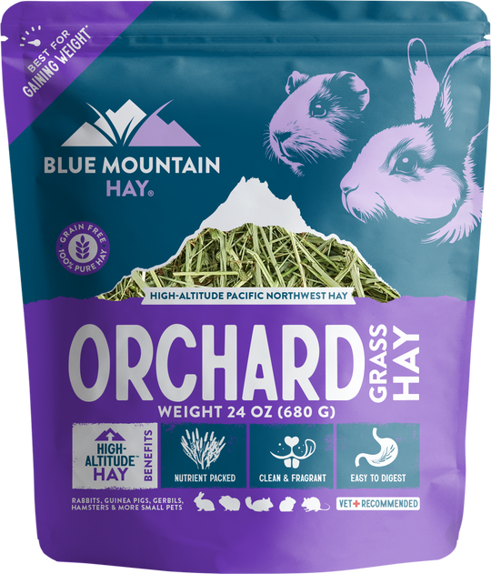 Orchard Grass Hay