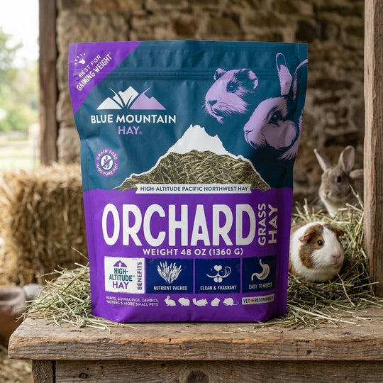Blue Mountain Hay Orchard Grass Hay package with a rabbit and guinea pig in the background