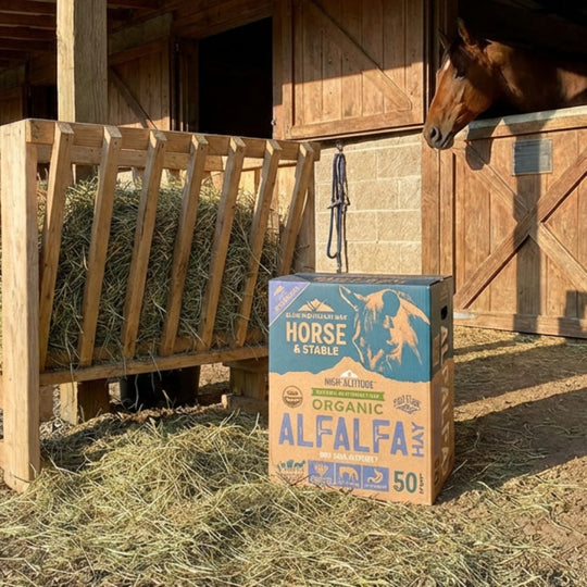 Horse and Stable organic alfalfa hay box with a horse in the background