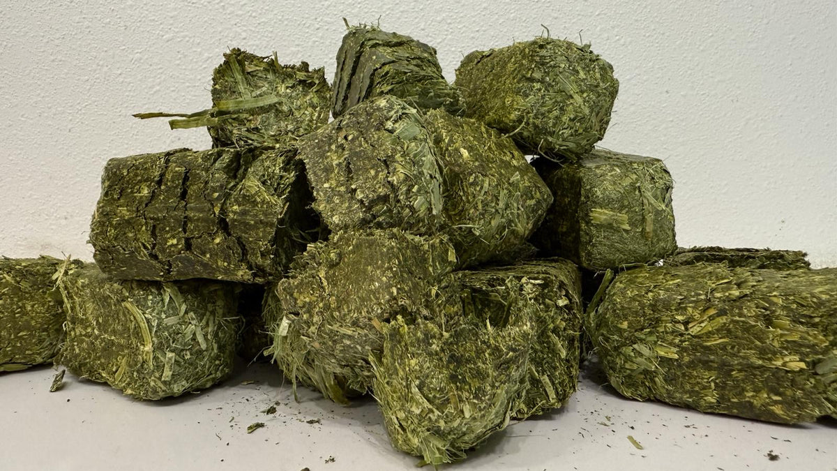 Blocksof Hay Livestock & Dairy Hay Supplier | Blue Mountain Hay