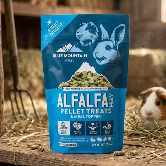 Alfalfa Pellet Treats for Small Pets