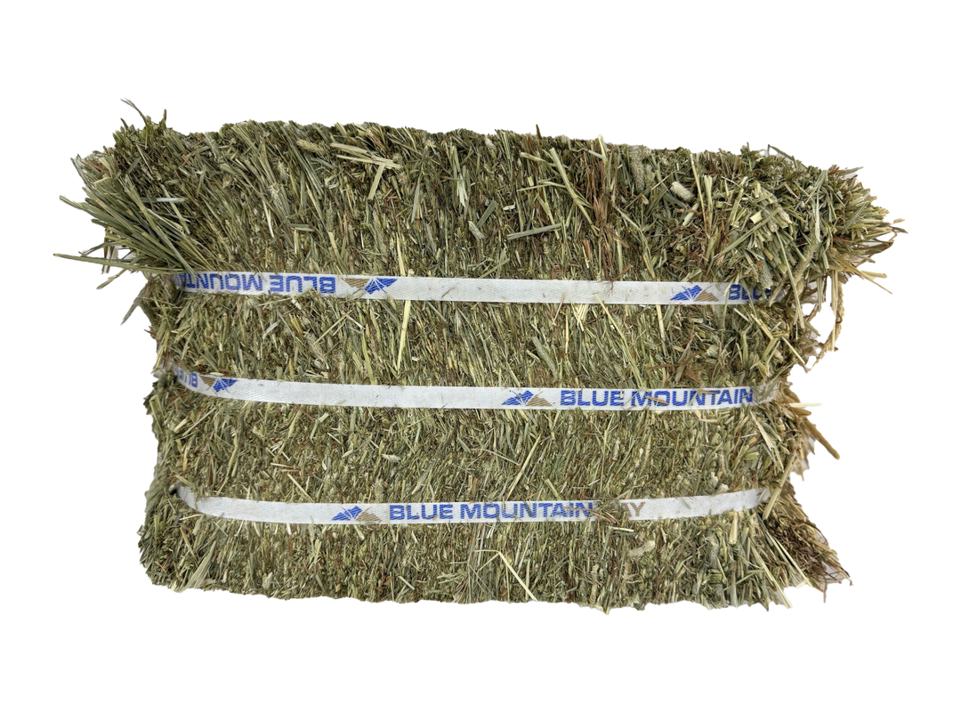 Timothy Hay for Horses | Easy Flake Box