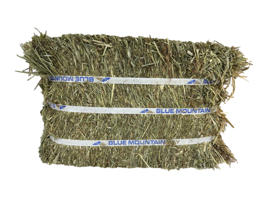 Timothy Hay for Horses | Easy Flake Box
