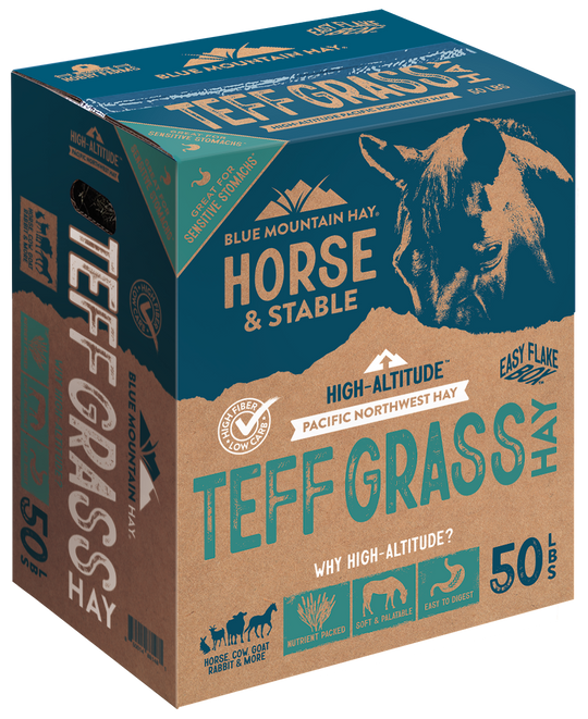Teff Grass Hay Easy Flake Box