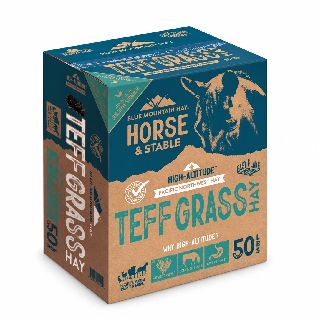 A 50 lb box of Blue Mountain Hay Horse & Stable Teff Grass Hay, featuring a dark teal and brown kraft-paper style design with a horse illustration.