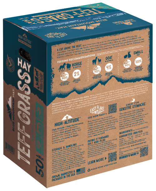 Teff Grass Hay for Horses | Easy Flake Box | Blue Mountain Hay Teff Grass Hay for Horses | Easy Flake Box | Blue Mountain Hay