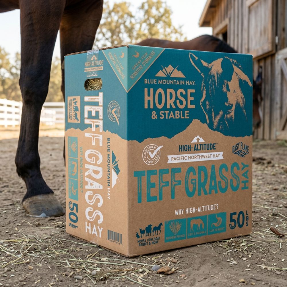 Box of Teff Grass Hay for horses with a horse in the background
